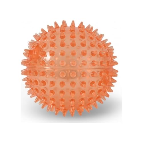 Squeaky Spiky Dog Ball for Teeth Cleaning & Gum Massage 2 Inch Puppy Small Dogs Orange | Spiny TPR Rubber Chew Toy for Fetch Play Interactive Bouncy Dental Ball Durable BPA Free Nontoxic Floats - size: 2 Inch Orange Ball 1-Pack