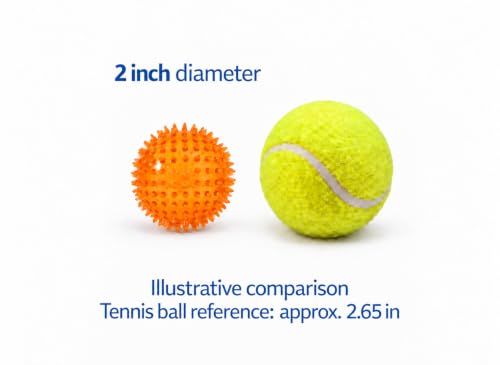 Squeaky Spiky Dog Ball for Teeth Cleaning & Gum Massage 2 Inch Puppy Small Dogs Orange | Spiny TPR Rubber Chew Toy for Fetch Play Interactive Bouncy Dental Ball Durable BPA Free Nontoxic Floats - size: 2 Inch Orange Ball 1-Pack