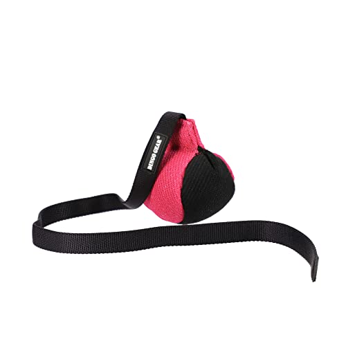 Dingo Gear Dog Ball with Long Handle, French Linen, Pink 29 in - color: Pink-Black