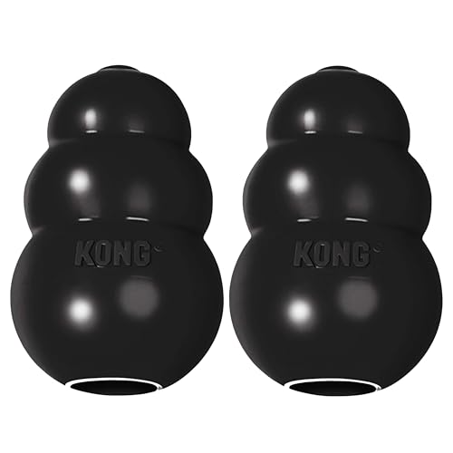 KONG Extreme Dog Toy, Natural Rubber Chew, for Small Dogs (Pack of 2) - size: Small(2-Pack)