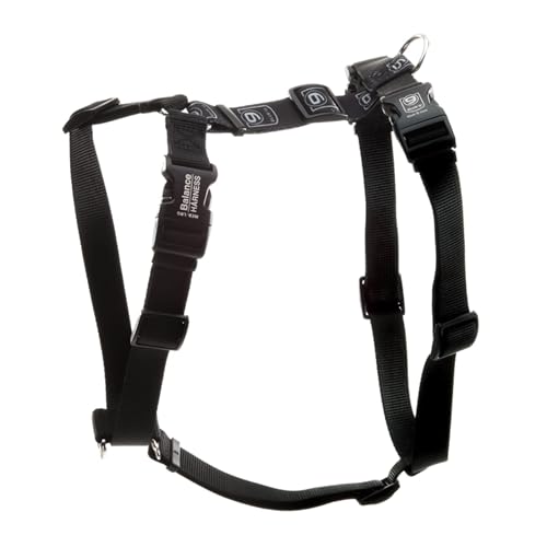 Blue-9 Balance Harness® for Dogs, No-Pull, Buckle-Neck, Training, Black, XS - color: Black, size: XS (Ribcage: 13.5"-18")