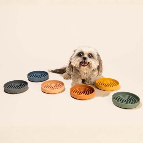 Slow Feeder Dog Bowl - Silicone Dog Bowl, Small, 6" x 1.25" - Honey - color: Honey - Rainbow Design, size: Small (6” Across x 1.25” Tall)