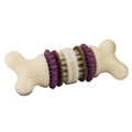 PetSafe Busy Buddy Bristle Bone Dog Treat Holding Chew Toy, Small - size: Small, style: Bristle Bone