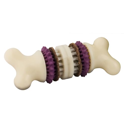 PetSafe Busy Buddy Bristle Bone Dog Treat Holding Chew Toy, Small - size: Small, style: Bristle Bone