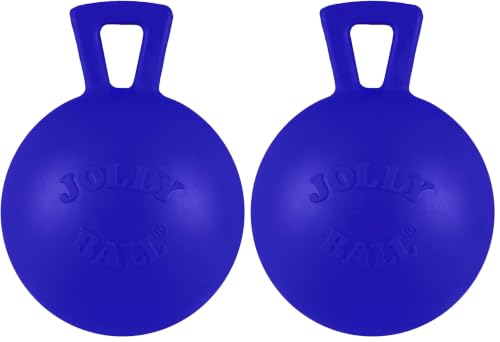 Jolly Pets Tug-n-Toss Heavy Duty Dog Toy Ball with Handle, 4 Inches/Petite, Blue (404 BL),Small Breeds (Pack of 2) - color: Blue, size: 4 inches/Petite (Pack of 2)