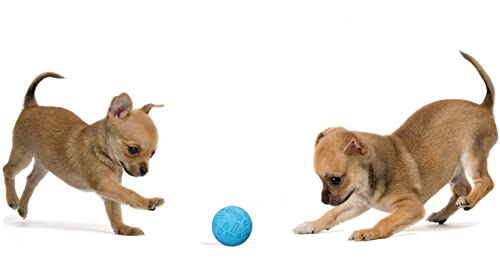 Snug Rubber Dog Balls for Small and Medium Dogs - Tennis Ball Size - Virtually Indestructible (3 Pack - Cool) - color: Cool