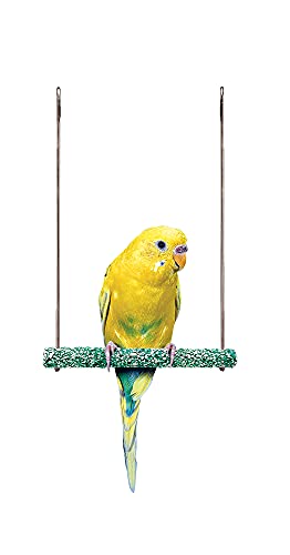 PENN-PLAX Bird-Life Trimmer Plus Cement & Metal Swing – Naturally Trims Nails & Beak – Great for Parakeets, Cockatiels, Finches, and Other Small Birds – Small Size - size: No Size