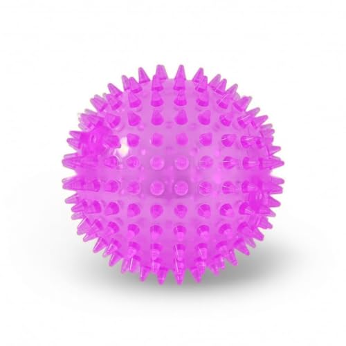 Squeaky Spiky Dog Ball for Teeth Cleaning & Gum Massage 2.5 Inch Small Medium Dogs Purple | Spiny TPR Rubber Chew Toy for Fetch Play Interactive Bouncy Dental Ball Durable BPA Free Nontoxic Floats - size: Purple Ball 1-Pack