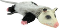Hyper Pet Real Skinz Opossum Plush Dog Toy, Medium (Pack of 12) - size: Medium (Pack of 12), style: Opossum