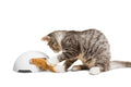 Premier Pet Fox Den Automatic Interactive Cat Toy