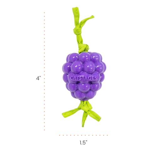 Catstages Bouncing Grape Teether Cat Toy, Soft and Textured Chew, Catnip Oil Coating