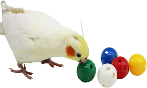 QBLEEV 5 Pack Bird Bell Balls Sets for Chewing Playing Training, Colorful Parrot Cage Treat Toy for Cockatiel Parakeet Conure Budgie, Small Pet Foot Talon Toy for Parrot Kitten Puppy, Random Color - color: Egg Balls