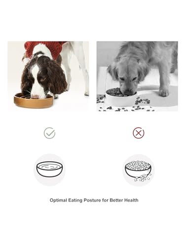 Ceramic Slow Feeder Dog Bowl, Green, Small - color: Lights-Green, size: Small