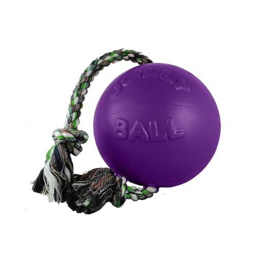 Jolly Pets Romp-N-Roll Rope & Ball Dog Toy, 4.5 in Small, Blueberry - color: Blueberry, size: Small (4.5 in)