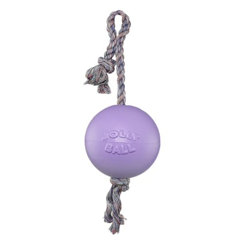 Jolly Pets Romp-N-Roll Rope & Ball Dog Toy, 8 in Large, Light Purple - color: Light Purple, size: Large (8 in)