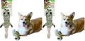 SPOT Skinneeez Raccoon 14 Inch Stuffing-Free Plush Dog Toy – Soft, Mess-Free Toy with One Squeaker for Small & Medium Dogs, Best for Light to Moderate Chewers (Pack of 2) - style: Mini Raccoon