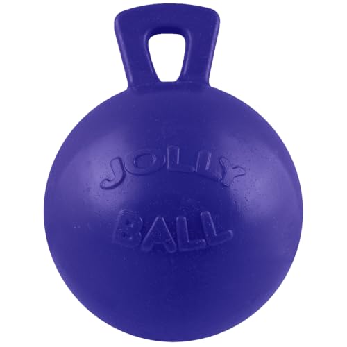 Jolly Pets Dog 10-Inch Tug-n-Toss, Blue - color: Blue, size: XL (10 in)