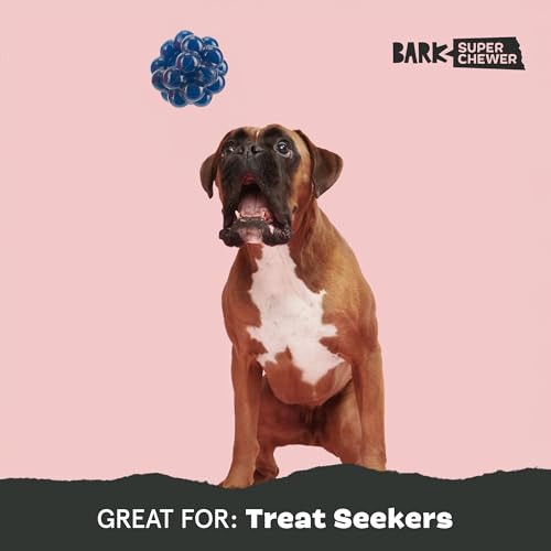 BarkBox Ruffberry Blast Dog Toy - for Small Dogs - style: Ruffberry Blast