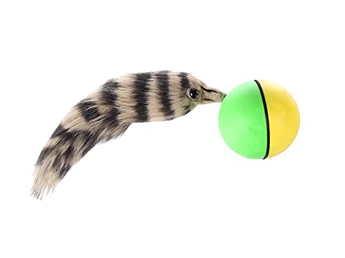 D.Y. TOY - The Original Weasel Ball, Interactive Motion Toy