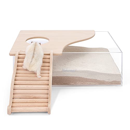 Niteangel Hamster Climbing Ladder Bridge: 6.3 x 3.7 x 1.1 inch - size: Small - 6.3'' L