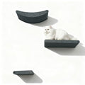 Wall Mounted Cat Shelves Set, Felt Cat Wall Perch & Climbing Steps, Space Saving Floating Cat Furniture, Wall Cat Climbing System for Indoor Kittens & Large Cats