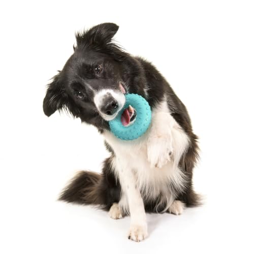 Playology Dual Layer Ring Toy for Aggressive Chewers, Peanut Butter Scent - size: Medium, style: Peanut Butter