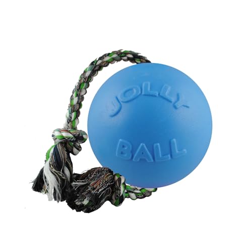 Jolly Pets Romp-N-Roll Rope & Ball Dog Toy, 4.5 in Small, Blue - color: Blue, size: Small (4.5 in)