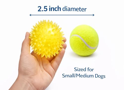 Squeaky Spiky Dog Ball 2.5 Inch for Small Medium Dogs (Color Varies), Teeth Cleaning & Gum Massage, Spiny TPR Rubber Chew Toy for Fetch Play, Interactive Bouncy Dental Ball, Durable BPA Free - size: Color Varies, Ball - 1 Pack