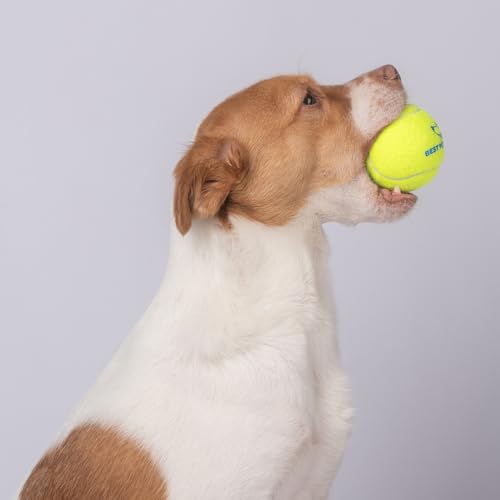 Best Pet Supplies Interactive Squeaky Dog Chew Toy, Ideal Dog Toys for Chewers, Small, Medium & Large Dogs, and Fetch Lovers - Tennis (Yellow), Small (Pack of 4) - color: Tennis (Yellow), size: Small