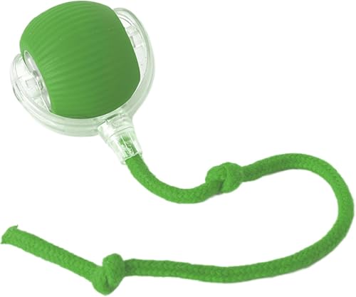 Interactive Cat Ball Toy with Rope, Self-Rolling Motion Ball for Indoor Cats