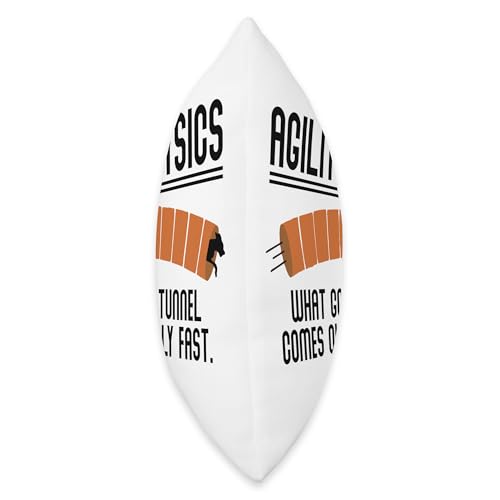 Saying Agility Physics What Goes In Tunnel Dog Training Gag Throw Pillow - size: 16x16