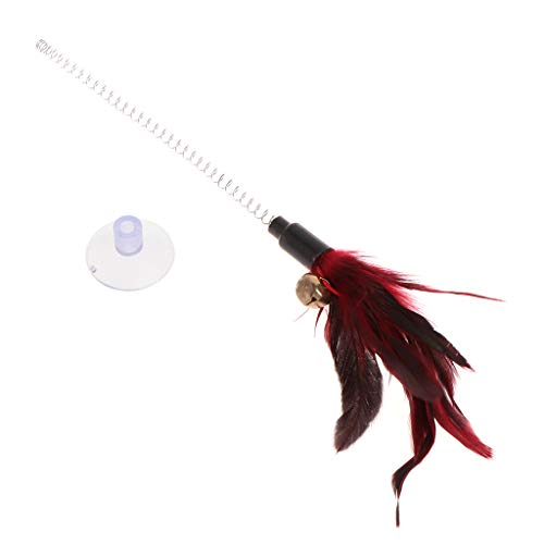 For Interactive For For Teaser Toy With Suction Cup For Kitten For Play
