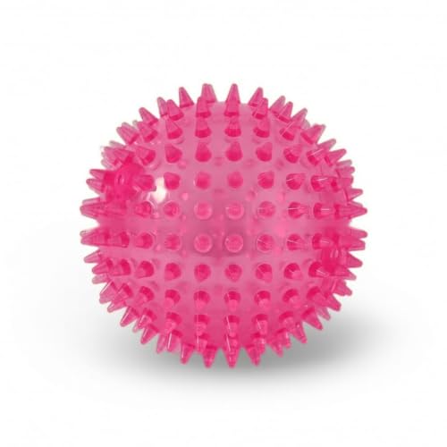 Squeaky Spiky Dog Ball for Teeth Cleaning & Gum Massage 2.5 Inch Small Medium Dogs Pink | Spiny TPR Rubber Chew Toy for Fetch Play Interactive Bouncy Dental Ball Durable BPA Free Nontoxic Floats - size: Pink Ball 1-Pack