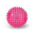Squeaky Spiky Dog Ball for Teeth Cleaning & Gum Massage 2.5 Inch Small Medium Dogs Pink | Spiny TPR Rubber Chew Toy for Fetch Play Interactive Bouncy Dental Ball Durable BPA Free Nontoxic Floats - size: Pink Ball 1-Pack