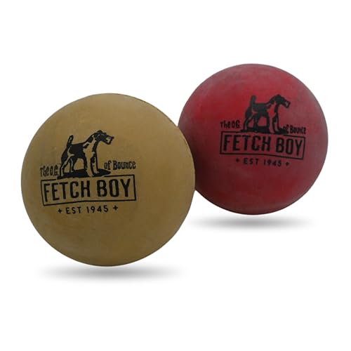 The O.G. of Bounce Solid Sponge Rubber Dog Ball, Made in USA, 2.5 inches, Medium Breeds that Fetch, 2 Pack Gift Box - color: Red & Gold