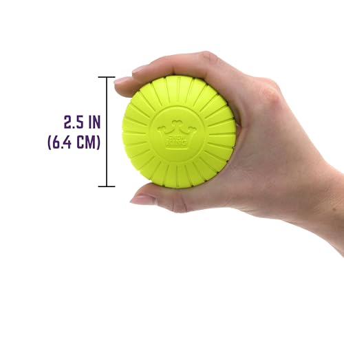Chew King by Mammoth Supreme Rubber Dog Fetch Balls (8-Pack), Durable 2.5” Natural Rubber Balls with Safety Air Vent, High Bounce Fetch Toys for Aggressive Chewers, Launcher Compatible - Yellow - color: E) 8-Pack 2.5" Balls (Yellow)