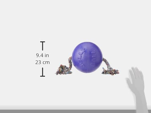 Jolly Pets Romp-N-Roll Rope & Ball Dog Toy, 8 in Large, Purple - color: Purple, size: Large (8 in)
