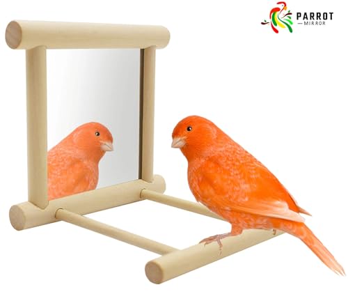 Bllesqelax Bird Parakeet Mirror for Cage,Parrot Perch Stand,Wooden Hummingbird Swing Toy,Parakeet Accessories for Cockatiels Conure Finch Lovebird Canary African Grey Macaw