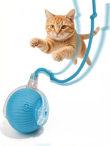 Interactive Dog Cat Toy Ball, Upgraded Rechargable Smart Automatic Rolling Pet Ball with Tail, Fast Moving Toy for Bored Indoor Kitty Puppy- Blue - color: Blue