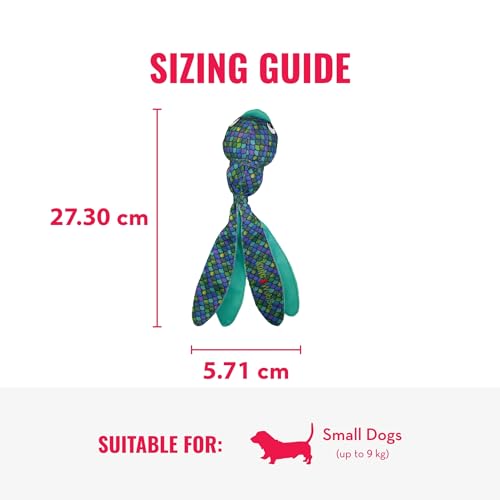 KONG Wubba Finz - Dog Toy for Tug of War & Fetch - Dog Supplies for Puppy & Dog Playtime - Outdoor & Indoor Dog Toy (Blue, Small) - color: Blue, size: Small