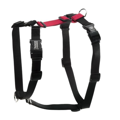 Blue-9 Balance Harness® for Dogs, No-Pull, Buckle-Neck, Training, Red, M