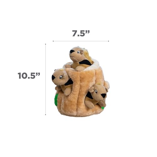 Outward Hound Hide-A-Squirrel Plush Squeaky Dog Toy, Large, 10.5" x 7.5"