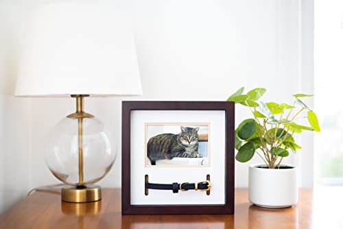 Pearhead Pet Collar Keepsake Picture Frame, Espresso - color: Espresso Collar Frame