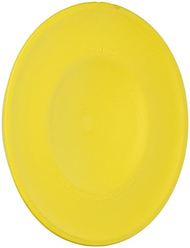 Starmark 9" Easy Glide Durafoam Disc