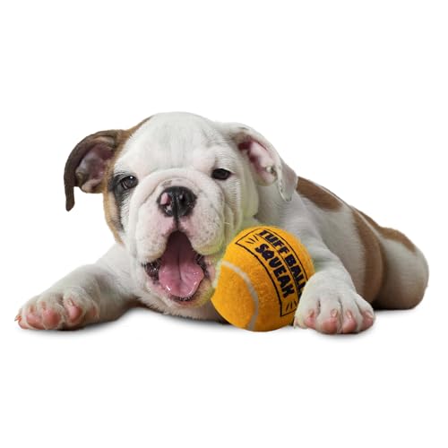 PetSport Giant Tuff Ball - Giant Tennis Balls for Large Dogs, Great for Boredom & Aggressive Chewers, Dog Toy, Certified Non-Toxic, Won't Wear Down Teeth - 4"(6pack) - size: 4 Inches (Pack of 6)