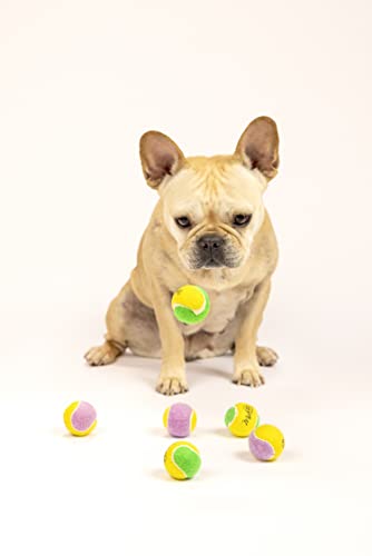 Midlee Small Dog Tennis Ball- Yellow/Lavender- Set of 12