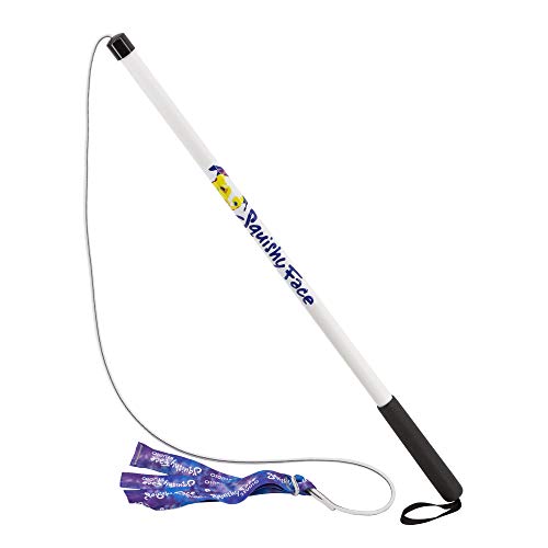 Squishy Face Studio Flirt Pole V2, Purple/Blue Tie Dye, Regular 36" - color: Purple/Blue Tie Dye, size: Regular (36 in), style: Squeaker