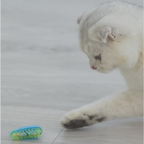 Zerodis Cat Interactive Toys, 7Pcs Mini Cute Cat Playing Toy Electric Funny Interactive Toy with Battery for Cats Kitten Training Playing Chewing