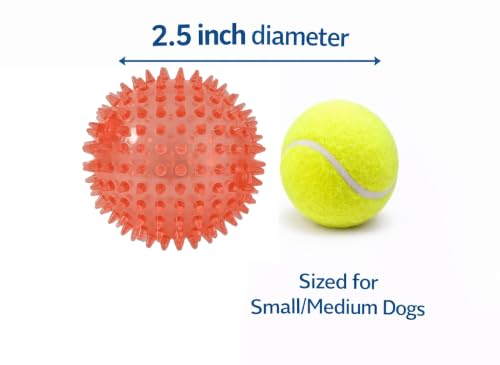 Squeaky Spiky Dog Ball for Teeth Cleaning & Gum Massage 2.5 Inch Small Medium Dogs Red | Spiny TPR Rubber Chew Toy for Fetch Play Interactive Bouncy Dental Ball Durable BPA Free Nontoxic Floats - size: Red Ball 1-Pack