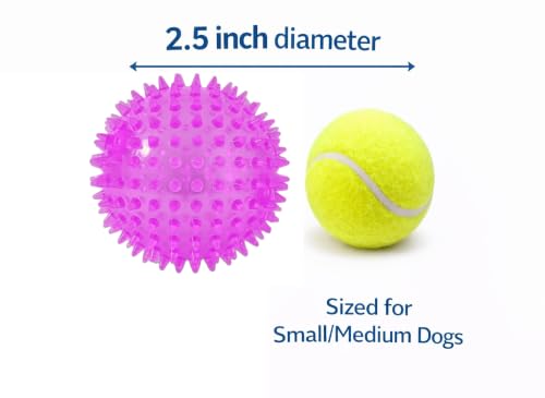 Squeaky Spiky Dog Ball for Teeth Cleaning & Gum Massage 2.5 Inch Small Medium Dogs Purple | Spiny TPR Rubber Chew Toy for Fetch Play Interactive Bouncy Dental Ball Durable BPA Free Nontoxic Floats - size: Purple Ball 1-Pack